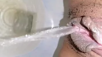 चलाएँ सफेद विग सफेद पंख हिमाचल प्रदेश परिवार दिवस